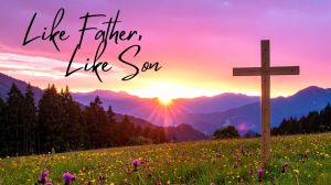 Like Father Like Son Title Slide